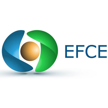 EFCE Spotlight Talks